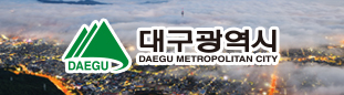 대구광역시 DAEGU METROPOLITAN CITY