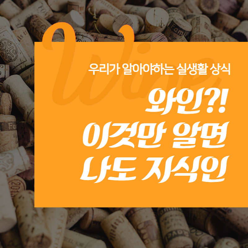 와인 상식