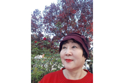 한 뼘의 그늘